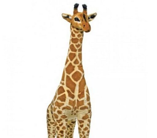 Безкоштовний контент - Дитячі товари Doug